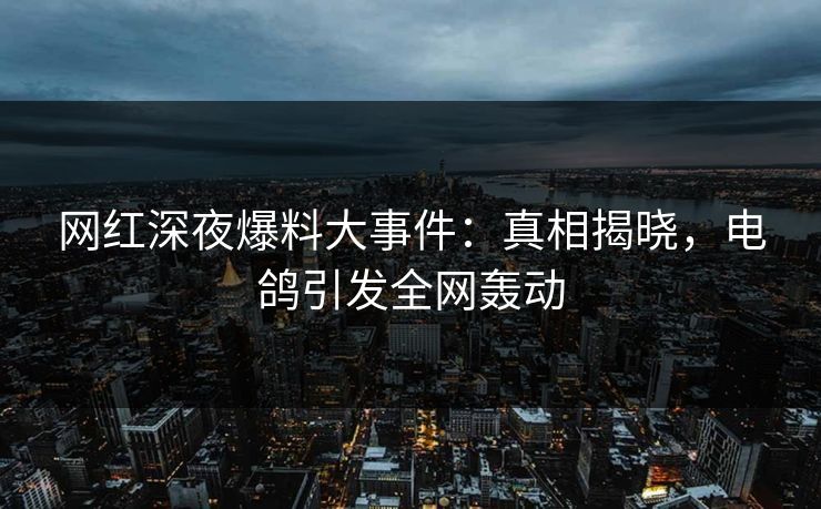 网红深夜爆料大事件：真相揭晓，电鸽引发全网轰动