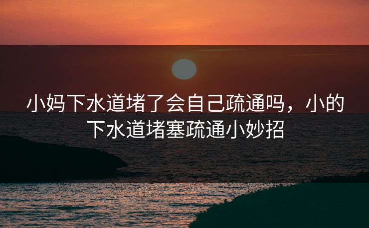小妈下水道堵了会自己疏通吗，小的下水道堵塞疏通小妙招